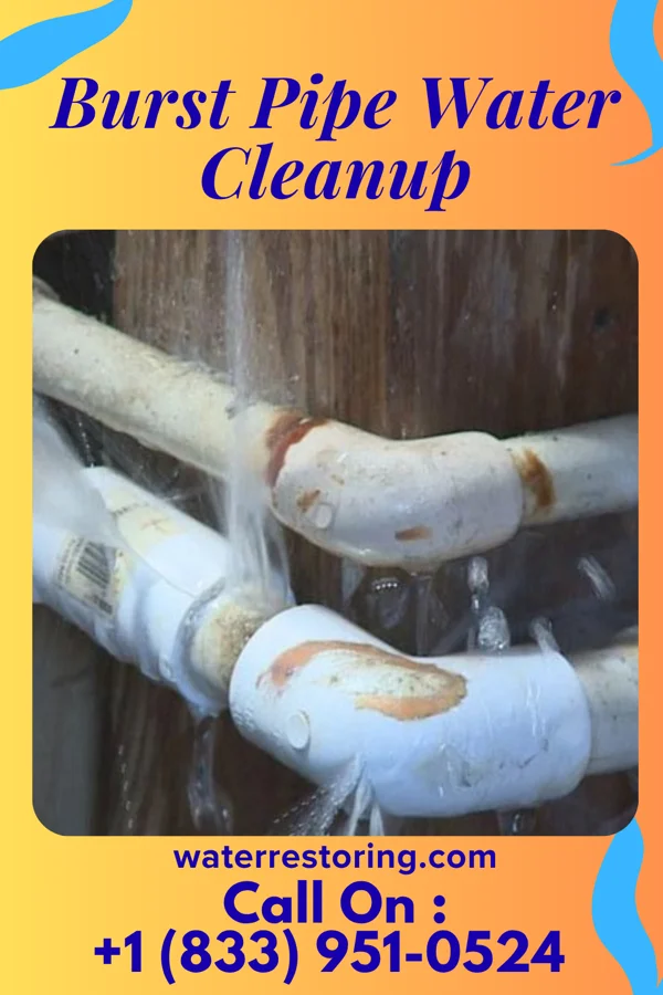 Burst Pipe Water Cleanup in Emily, MN