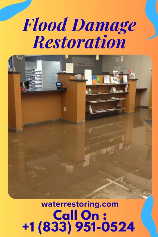Flood Damage Restoration in Emily, MN