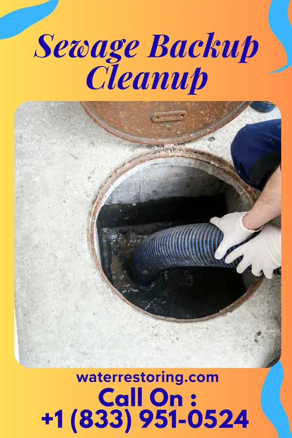 Sewage Backup Cleanup in Emily, MN