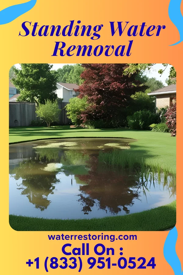 Standing Water Removal in Emily, MN